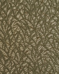 5588 Sage/Meadow by  Charlotte Fabrics 