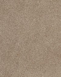 7068 Taupe by   