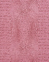 Exotics Fabric Exotics Fabric