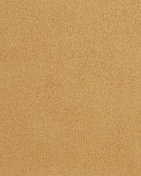 7554 Camel by  Charlotte Fabrics 