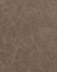 7563 Pewter by  Charlotte Fabrics 