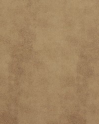 7566 Buckskin by  Charlotte Fabrics 