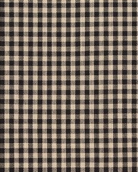 D117 Onyx Gingham by   