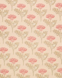 D4419 Grace Coral by   