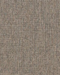 R359 Birch by  Charlotte Fabrics 