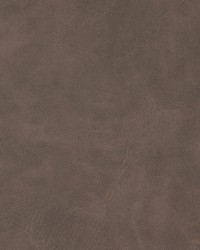 V208 Raw Umber by   