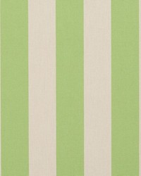 Y1641 Spring Stripe by   