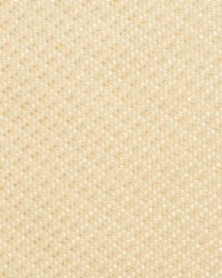 Y2055 Champagne Tweed by   