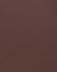 Z224 Burgundy by   