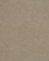 Z2432 Taupe by   