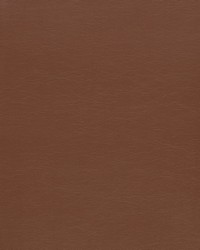 Z2443 Chocolate by   