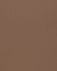 Z2452 Taupe by   