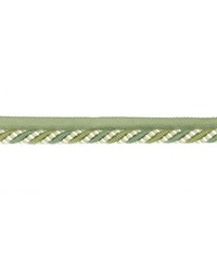 Flynn Lip Cord 2 Avocado by  Stout Trim 