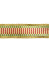 Litchfield Braid Bloom by  Schumacher Trim 