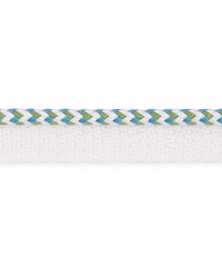 Bolander Cord Aqua by  Schumacher Trim 