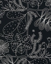 Blommen Ebony by  Schumacher Wallpaper 