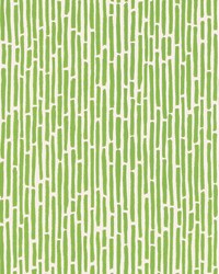 Bamboo Spring by  Schumacher Wallpaper 