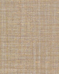 Anodized Raffia Gold by  Schumacher Wallpaper 