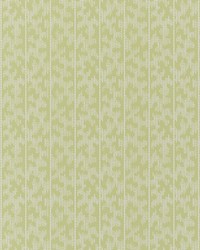 Montpellier Lime Blossom by  Schumacher Wallpaper 