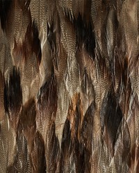 Iridium Tail by  Schumacher Wallpaper 