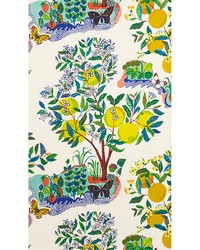 Citrus Garden Primary by  Schumacher Wallpaper 