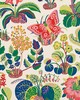 Schumacher Wallpaper EXOTIC BUTTERFLY SPRING