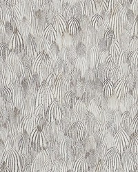 Feathers Zebra by  Schumacher Wallpaper 