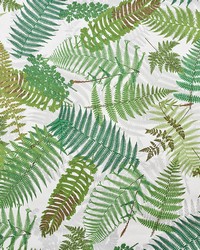 Fernarium Ivory and Leaf by  Schumacher Wallpaper 