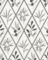 Endimione Carbon by  Schumacher Wallpaper 