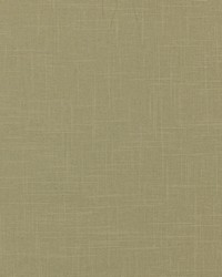 Jefferson Linen 02 Desized Griege by   