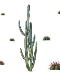 CACTUS GIANT PEEL AND STICK WALL DECALS by   