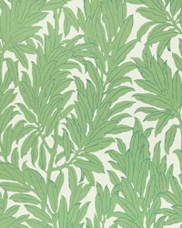 Laurel Leaf 01 Verde by   