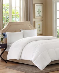 Benton All Season 2 in 1 Down Alternative Comforter White Twin by   