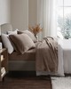 Olliix Soloft Plush Micro Plush Sheet Set Brown