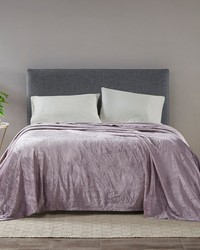 Microlight Blanket Purple Full Queen by   