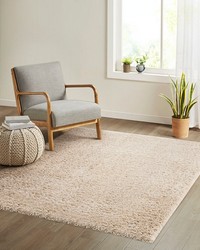 Camdyn Super Soft Polyester Shag Area Rug Cream by   