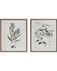 Kalamata Branches Botanical Illustration 2piece Framed Canvas Wall Art Set Neutral by   