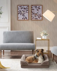 Bella Pet Couch Brown by   
