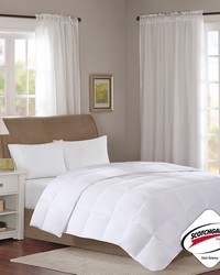 Level 1 Oversized Cotton Sateen Down Comforter White Twin by   