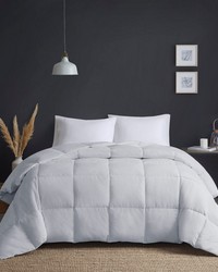 Heavy Warmth Goose Feather and Down Oversize Comforter Light Grey Full Queen by   