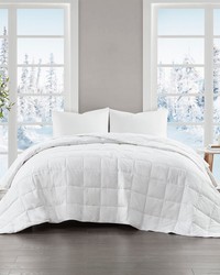 Four Seasons Goose Feather and Down Filling All Seasons Blanket White King by   