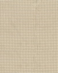 Abaco 61 Ivory by  Abbeyshea Fabrics 