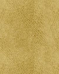 Abilene 606 Honey by  Abbeyshea Fabrics 