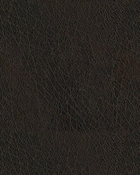 Abilene 8006 Walnut by  Abbeyshea Fabrics 