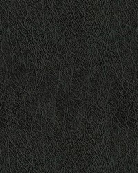 Abilene 9009 Black by  Abbeyshea Fabrics 