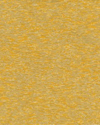 Acacia 502 Sunshine by  Abbeyshea Fabrics 