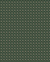 Aerotex 2008 Cactus by  Abbeyshea Fabrics 