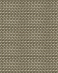 Aerotex 868 Walnut by  Abbeyshea Fabrics 