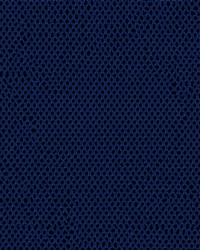 Air Knit 3006 Royal by  Abbeyshea Fabrics 