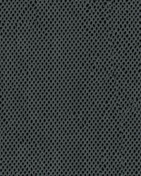 Air Knit 91 Pewter by  Abbeyshea Fabrics 